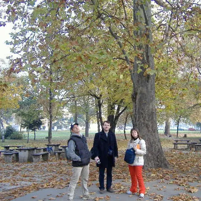European Championship 2005 - Budapest, Intorno al torneo, foto 19 di 22