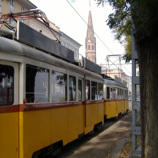 European Championship 2005 - Budapest, Intorno al torneo, foto 21 di 22