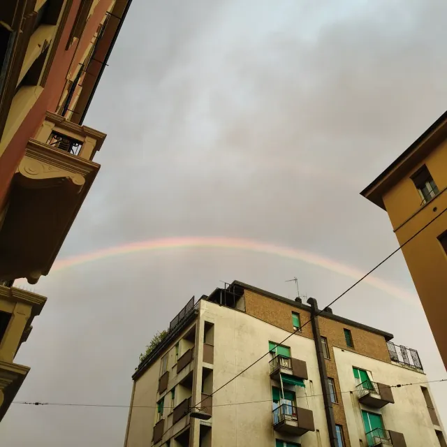 Sabbat Arising, Intorno al torneo, foto 8 di 8