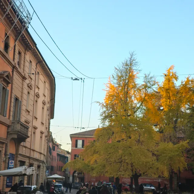 IT25 - Bologna, Bologna, foto 4 di 4