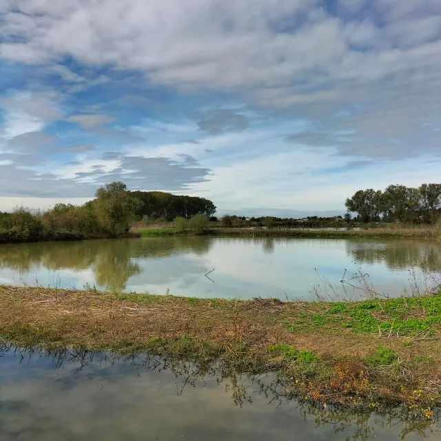 Vambeer II, Oasi di Manzolino, foto 2 di 3